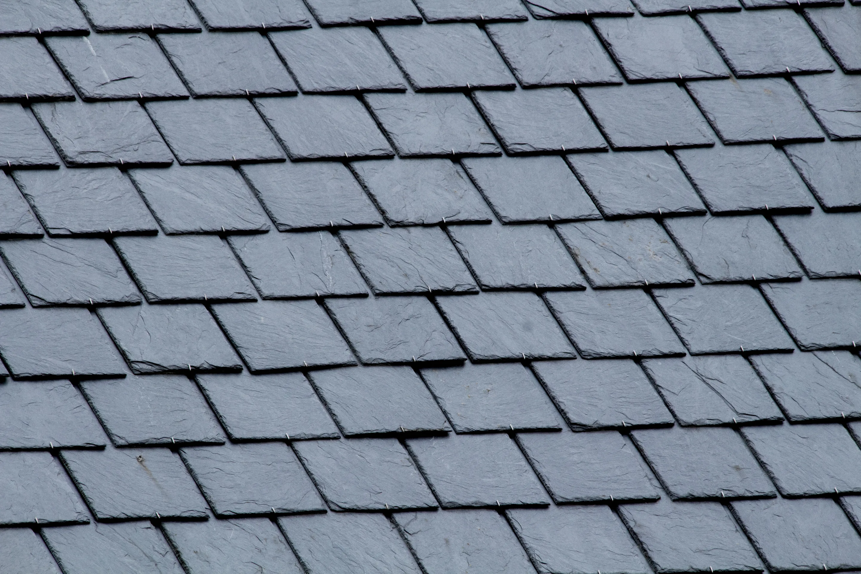 Macro of variegated slate shingle